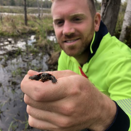 We are hiring a Species at Risk Field Technician – Field Lead!
This position will be responsible for assisting in the organization and delivery of field programs and reporting.
Applications due by February 25th. For more information and how to apply visit: gbbr.ca/employment-opp…