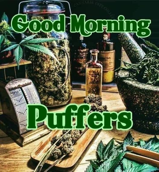 #GodzWeedz #DankDude #RealAmericanStoner #PeaceLoveAndHippieBeadz #MakeCloudz #Stoner #DontPanicItsOrganic #SmokeTokeChoke #Pothead #Dank #LegalizeIt #MedicalCannabis #Weed #Memes #Rasta #fUCkPaiN #FreeYourMind #OneLove #pEaCe #Hippie

Good Morning 🌞
