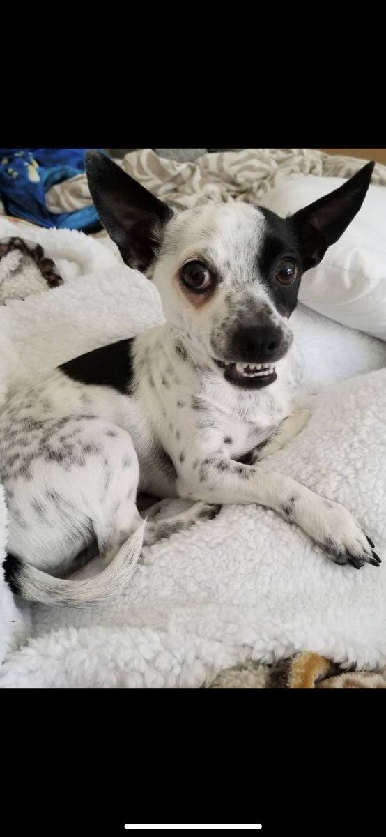 Melissa Schofield Londono tweet media