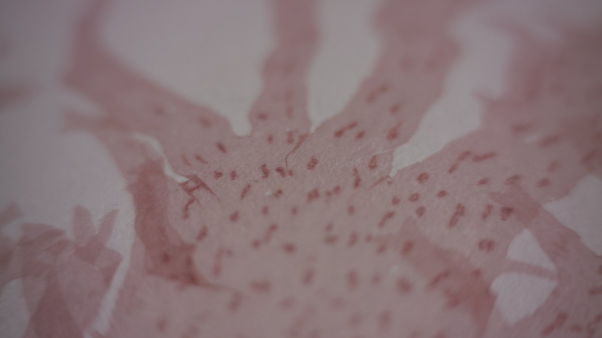 Bryony Gillard tweet media