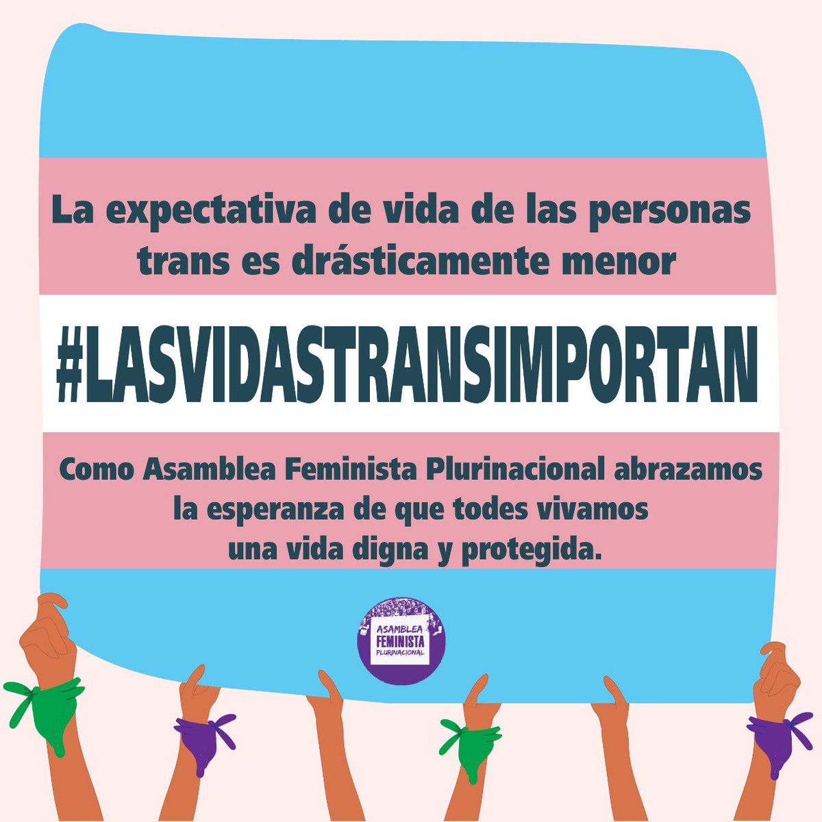 La falta de interés y negligencia por parte del sistema judicial y la PDI es aún más grave cuando se trata de las personas de las disidencias sexo-genéricas y mujeres son poblaciones que se encuentran en constante riesgo. #LasVidasTransImportan #translivesmatter