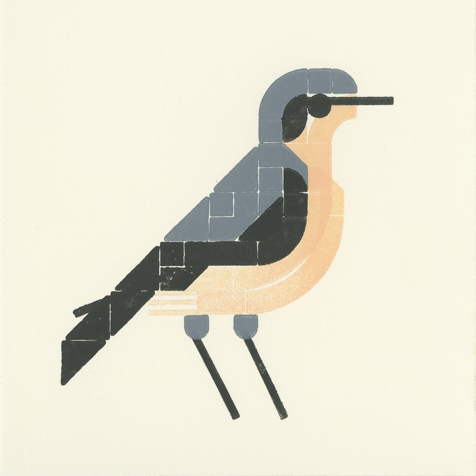 presentcorrect's tweet photo. Roy Scholten has used Lego to print 50 different species of bird.
https://t.co/brwtYhnAij

Incredible, thanks @royscholten https://t.co/gK9BR2r1LV