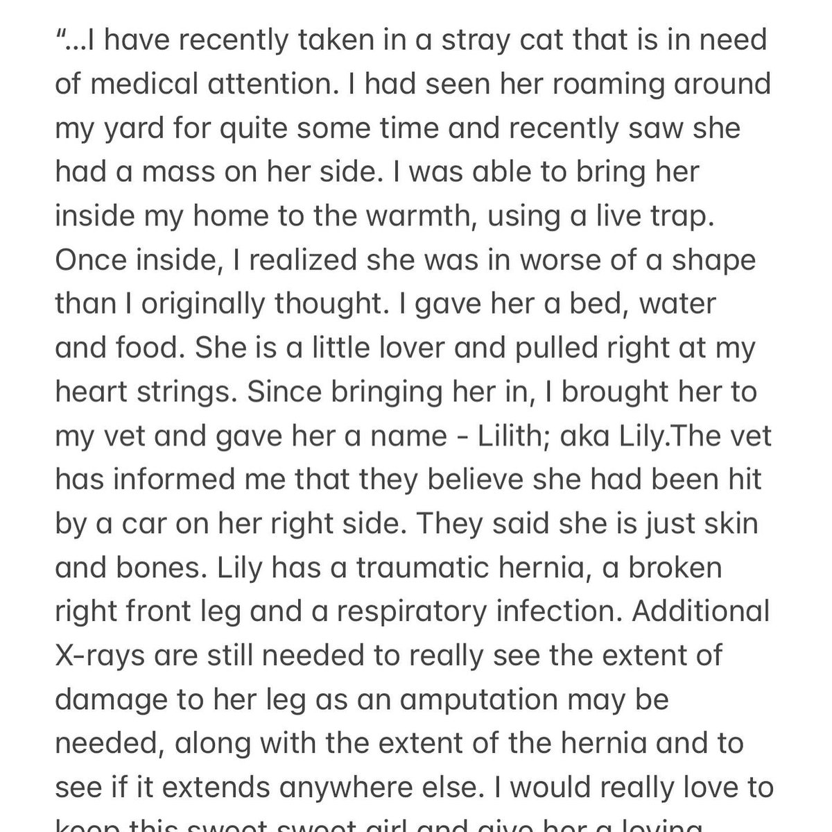 MichaSmith29's tweet photo. Trying to help a stray cat in need ❤️

https://t.co/7tujRbtevq 

If anyone would like to donate &amp; does not want to go through the fundraiser site, I do have Venmo (@MichaSmith) or cashapp ($mcsmith29) or ApplePay as well. Thank you 🐾
#GiveSendGo #donation #straycat #secondchance https://t.co/eBOGTLaeYW