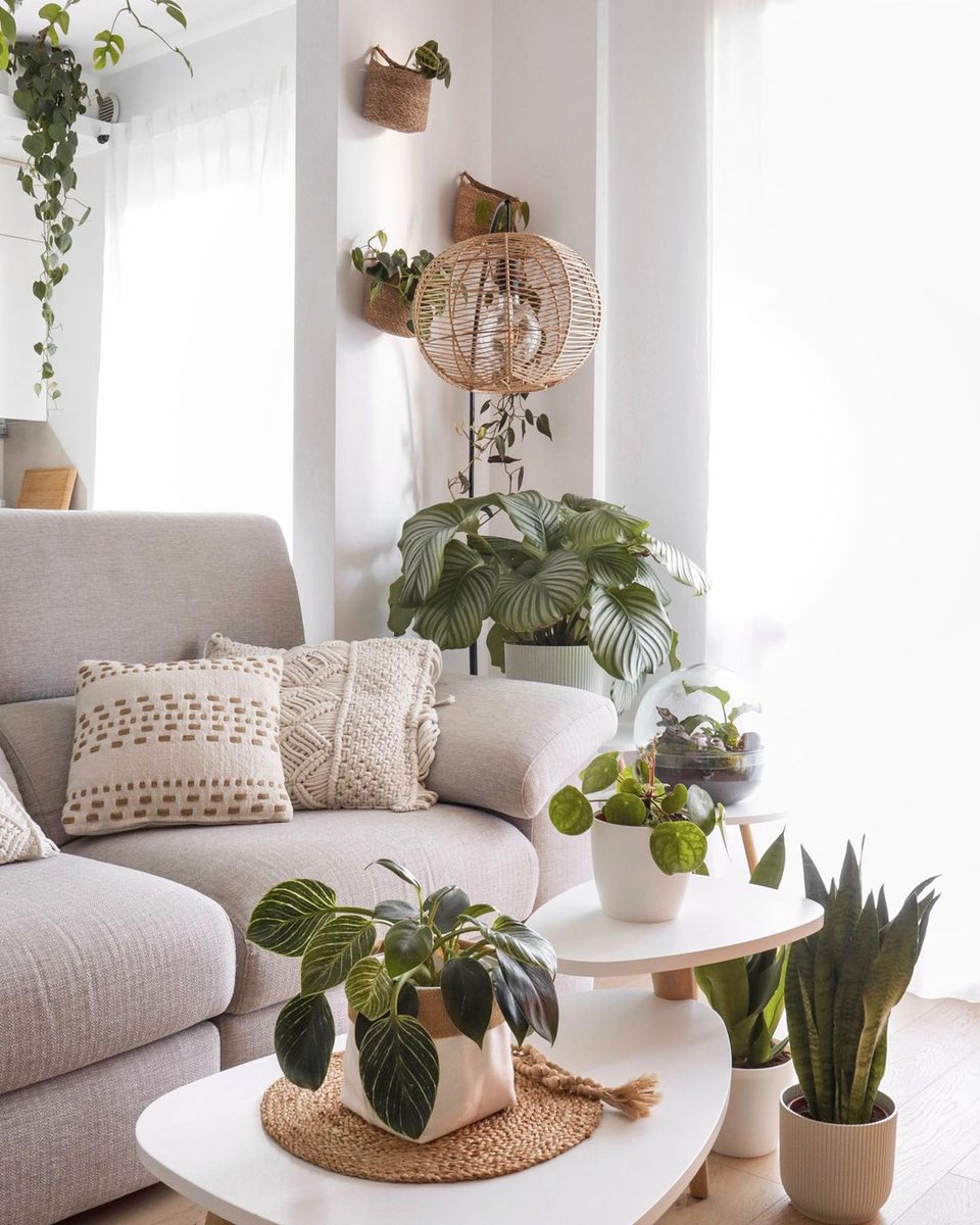 Who needs coffee table books when you have plants?! 😉🌿
📸: @stefyplants