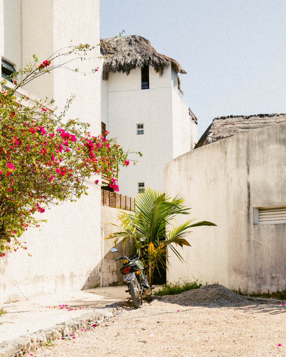 nicsagodic's tweet photo. a few from cozumel #photography https://t.co/valO8NpmpU