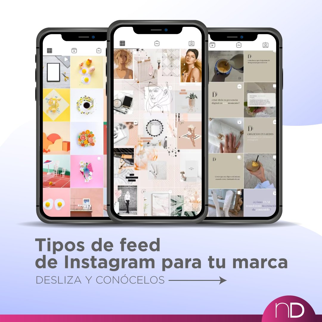 núcleo D tweet media