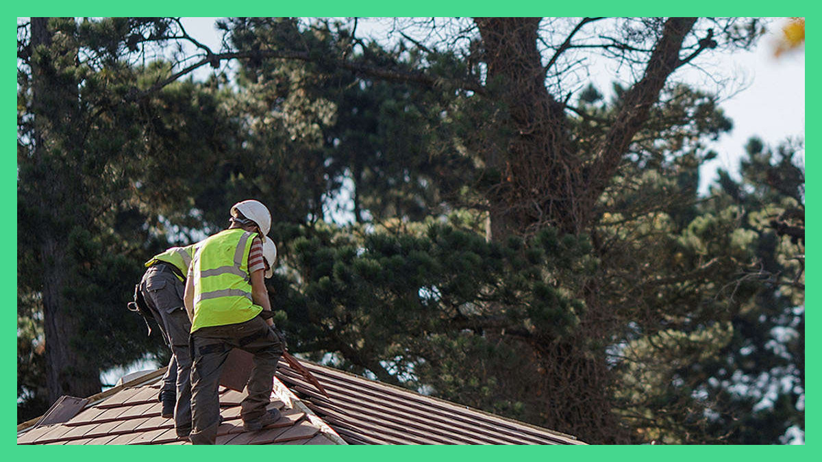 Spring is just over the horizon and we're looking forward to seeing our developments burst back into season!

All of our new homes take into consideration a long-standing green footprint so that trees, planted areas and borders can continue to thrive long after we've left!  🌱