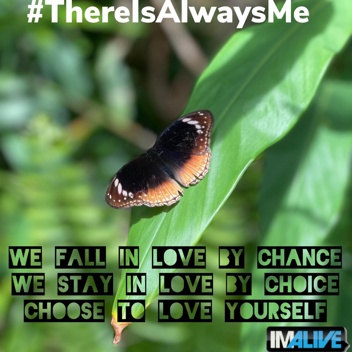 IMALIVE_org's tweet photo. Fall in love with yourself first, then spread that kindness to others.
Download, print and share this and others, or create your own. Tag us! https://t.co/vNt3OOqEnh #TIAM #Thereisalwaysme https://t.co/HDLZbvXQQO