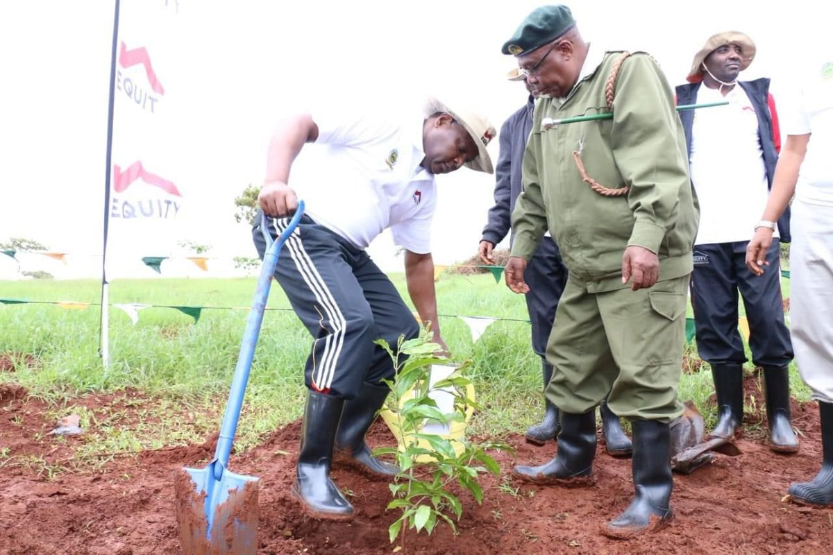 Dreymwangi's tweet photo. Equity has been donating plants and seedlings to help in conserving the environment for the past few years
#5thStrongestBankingBrand
#EquityGroup https://t.co/PsAo43eprN