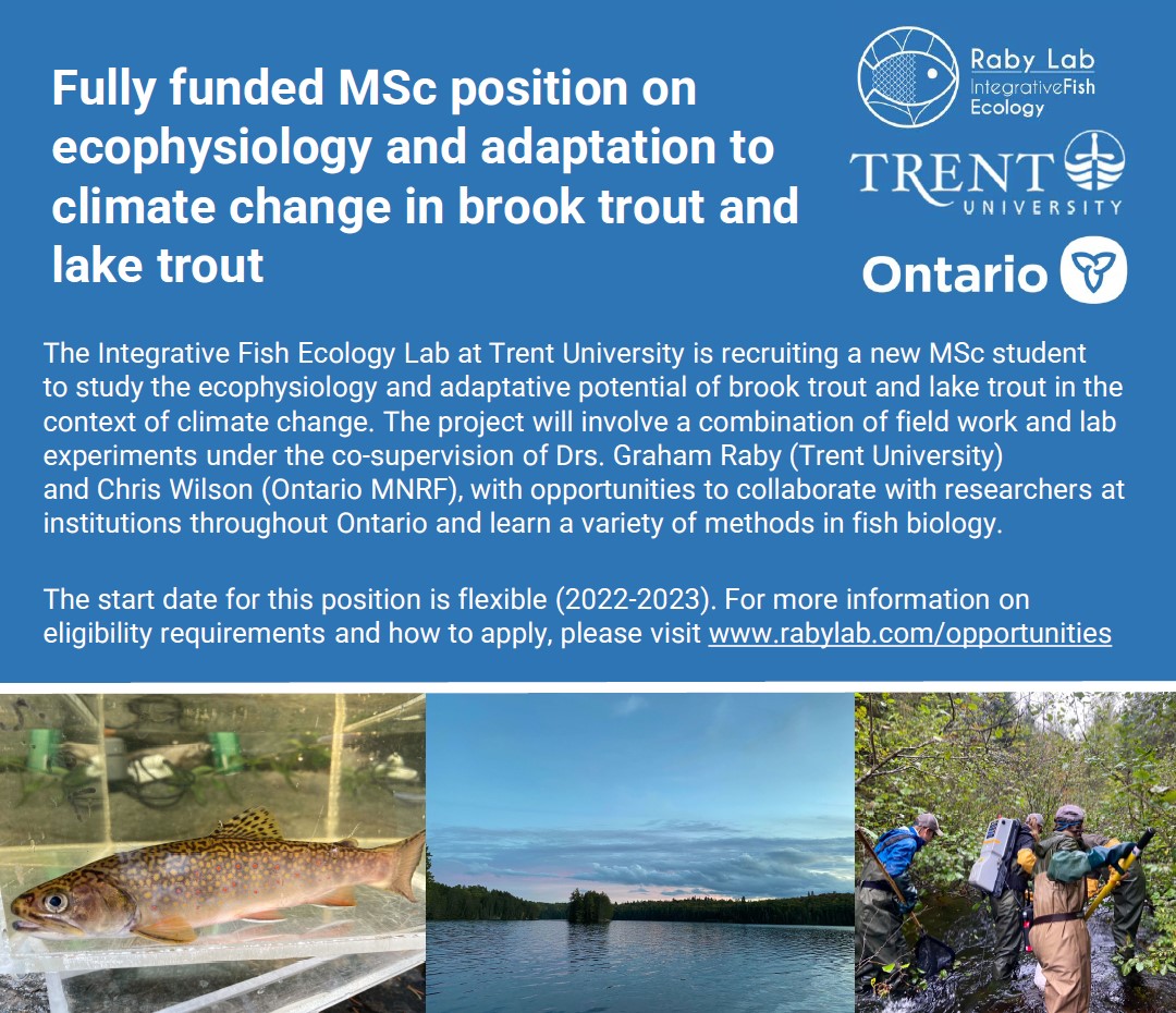 The wonderful Chris Wilson (Ontario MNR) and I are looking to bring on a new MSc student to do a project on lake trout and brook trout thermal biology. Please share with undergrads you know who may be interested in fishy MSc opportunities!