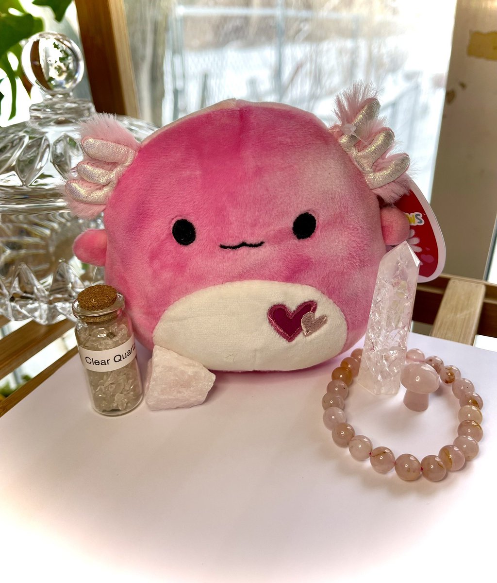 TheFaeryGrove's tweet photo. ✨🧚🏼‍♀️FAERY GROVE GIVEAWAY 🧚🏼‍♀️✨

To enter 
• Rt this tweet 
• Follow me @TheFaeryGrove 
•Tag your friends 🧚🏼‍♀️(1 tag = 1 entry)

🌸Prize listed below 🌸
💫Ends Feb 26th🌟 https://t.co/ldxKWFNrH6