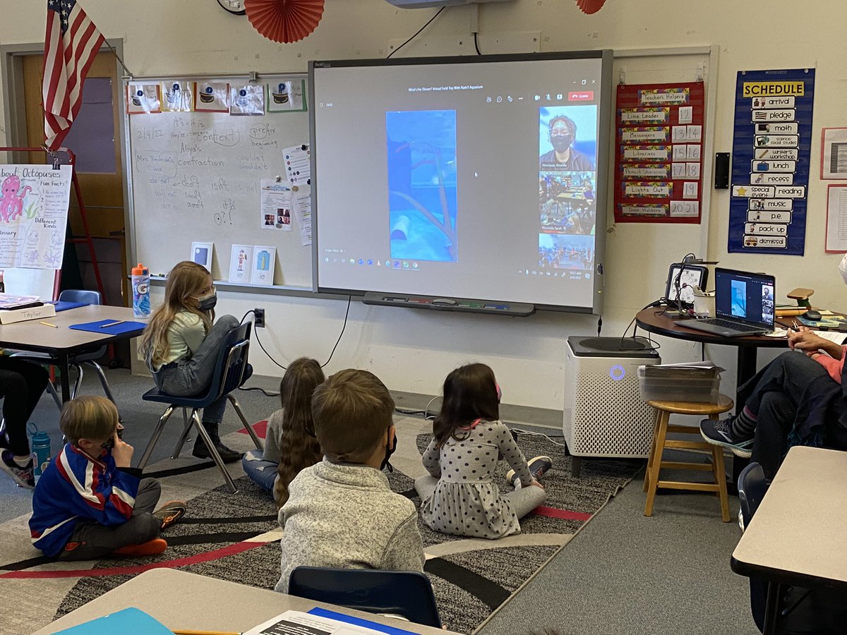 sbteach15's tweet photo. 2nd grade went on a virtual field trip to the National Aquarium to learn about Ocean Animals to close out their Ocean Animals research project!  @GlebeAPS https://t.co/1K1z8F7Oxg