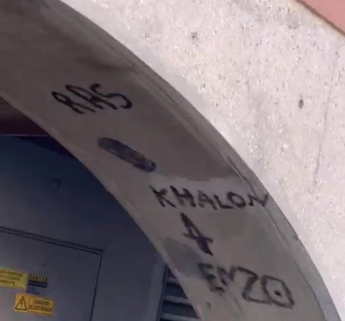 khalon4real's tweet image. Yeeeee j'crois qu'j'ai trop taillé Enzo y veut planter lé