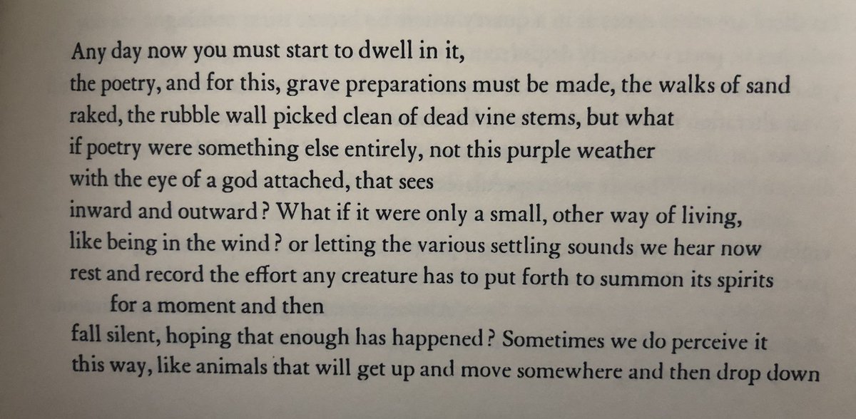 randomcloudform's tweet image. but what if poetry were something else entirely #collectiveashbery