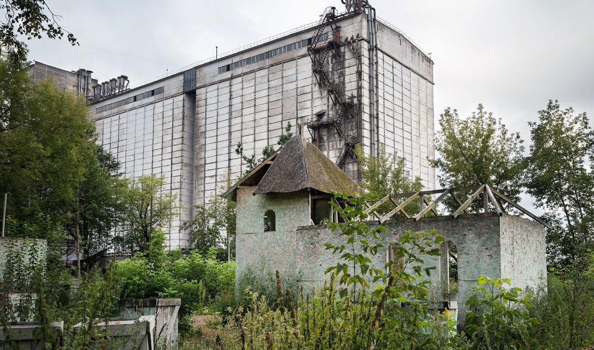 To all our friends in Lithuania - the Contemporary Art Center (CAC) in Vilnius will be screening the RIBOCA2 film 'and suddenly it all blossoms' this Friday!
To see how it all blossomed, register here: ej.uz/6fws
See you there!