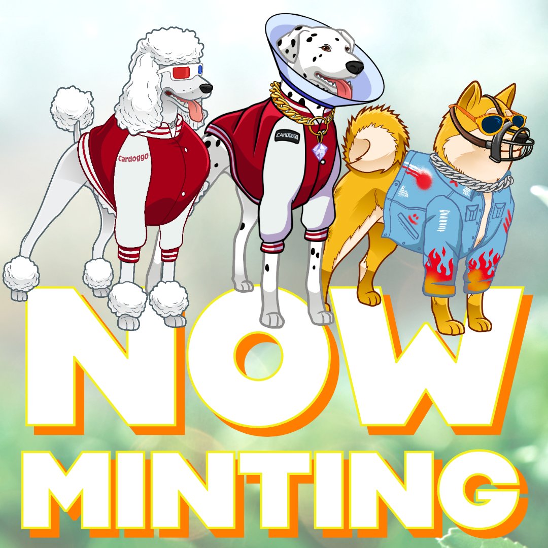 💚 Now Minting 💚
#DAO | #GameFi | #Identity &amp; #Social
cardoggo.com/nft

Trinity Phase:
300 #CNFTs | 3 Breeds

Total: 2,000 Doggos | 20 Breeds

#cnft  #blockchain #cnftproject #CNFTCommunity #CNFTCollection #NFTCommunity #NFTs #nftart #shiba #shibainu #NFTdrop #nft