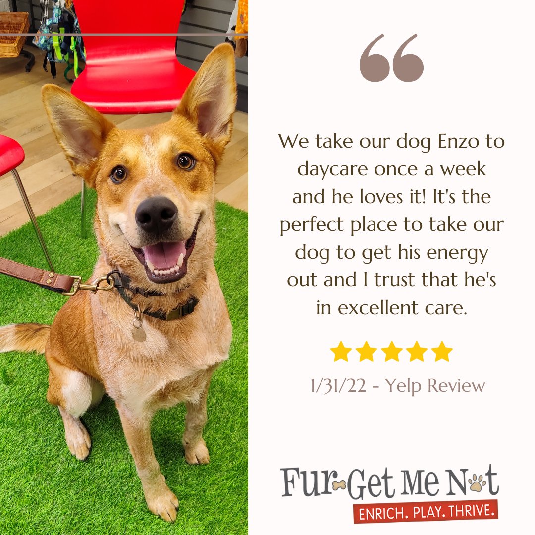 "A compliment is verbal sunshine" -Atharva Veda ☀️😊 #letthesunshine #bestclientsever #weappreciateyou