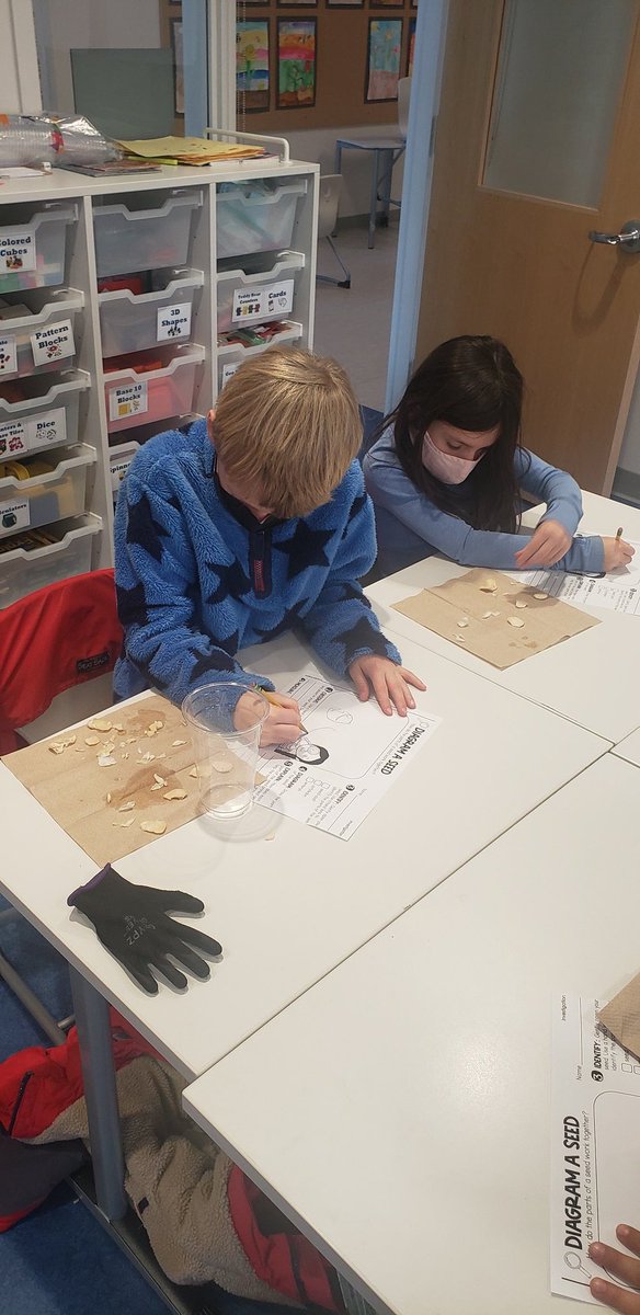 Jedd Stein tweet media