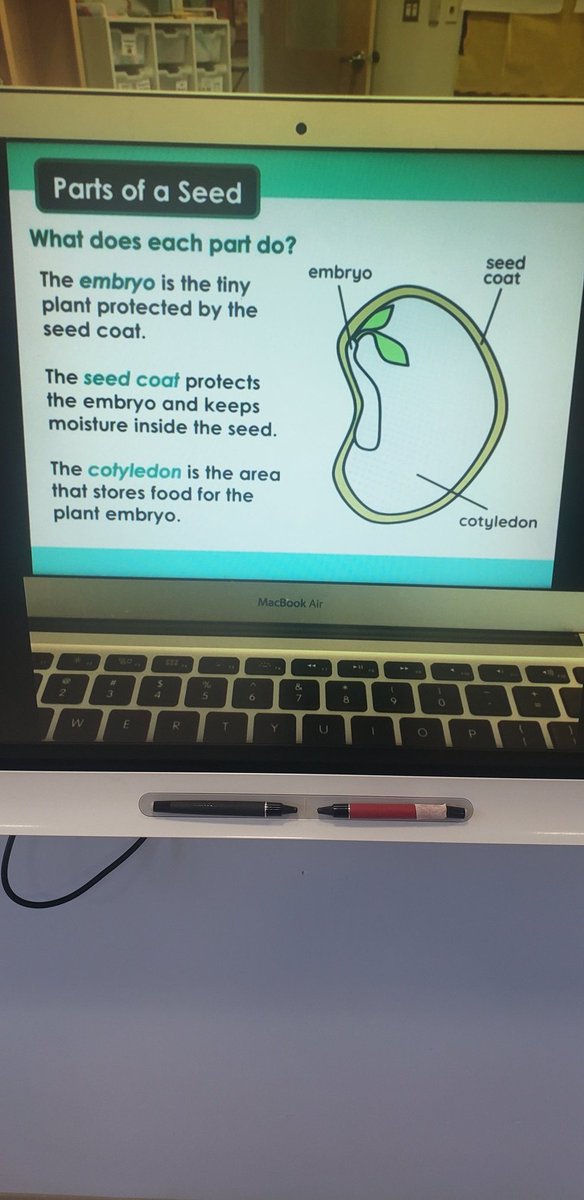 Ask your Explorer about our Lima Bean experiment yesterday! <a href="/DiscoveryAPS/">Discovery APS</a> <a href="/DscAPSG2/">Discovery APS 2nd</a> <a href="/DiscoveryESPTA/">Discovery PTA</a>