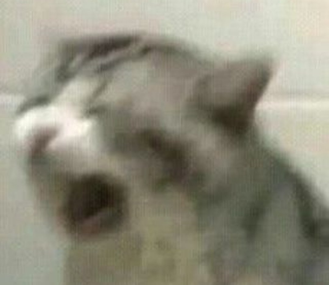 Juice_Box_Boy_'s tweet photo. @_L1_B1_ @Ranboosaysstuff @ranbooart Why do you do these things 
Fucking sobs https://t.co/olr4nj9ruw