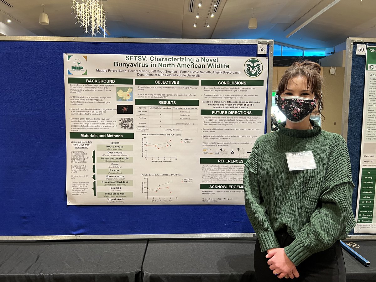 CSU_MIP's tweet image. Over 30 #MIP students and researchers presented posters and talks at the 2022 @CSUVetMedBioSci Research Day!

#BiomedicalScience #VeterinaryMedicine #BasicSciences #TranslationalResearch #ColoradoStateUniversity #GraduateResearch #PhDLife #CSUResearch