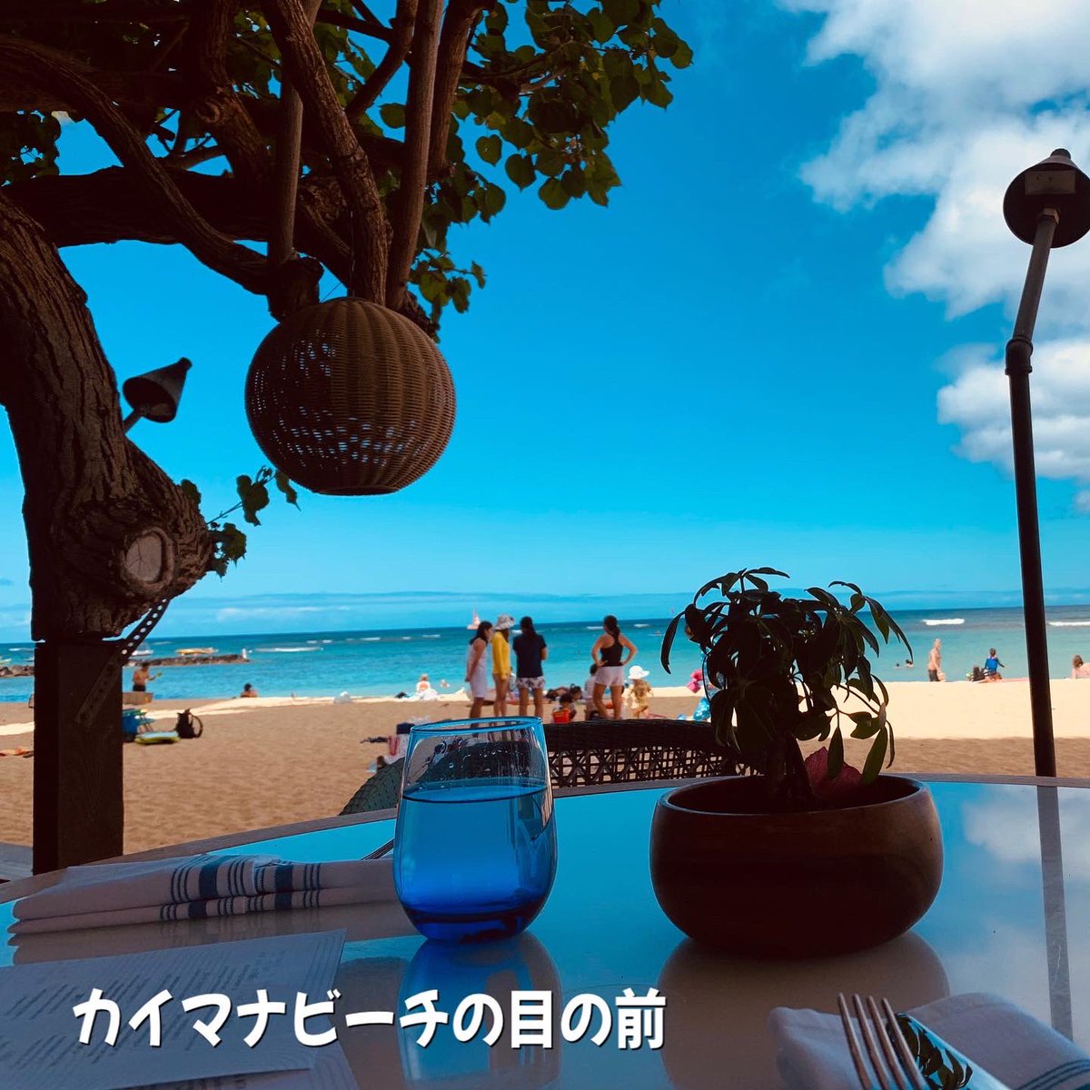 aloha_guideplus's tweet photo. 最近フルリノベしたカイマナビーチホテルのレストラン「ハウ•ツリー」
#ハワイ #ハワイグルメ #ハワイ行きたい #ハワイおすすめ https://t.co/s3gpnblusS