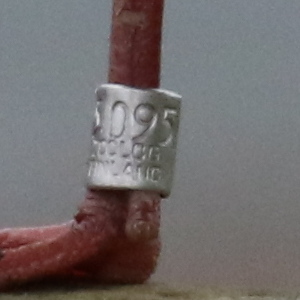 GOWEROS1 tweet media