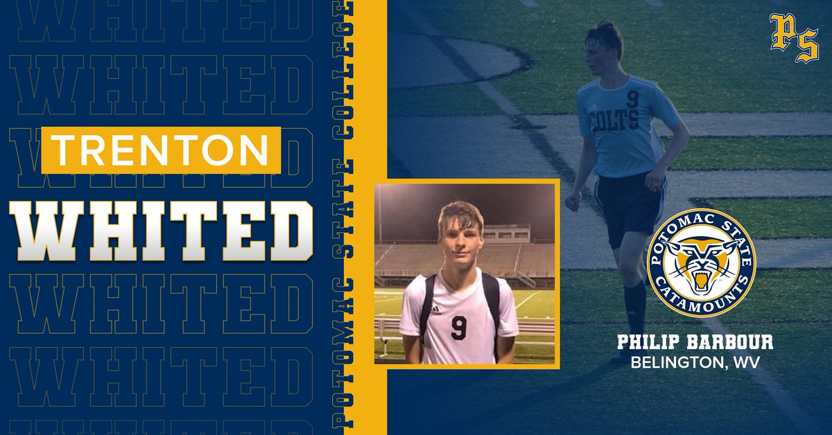 Potomac State Athletics tweet media