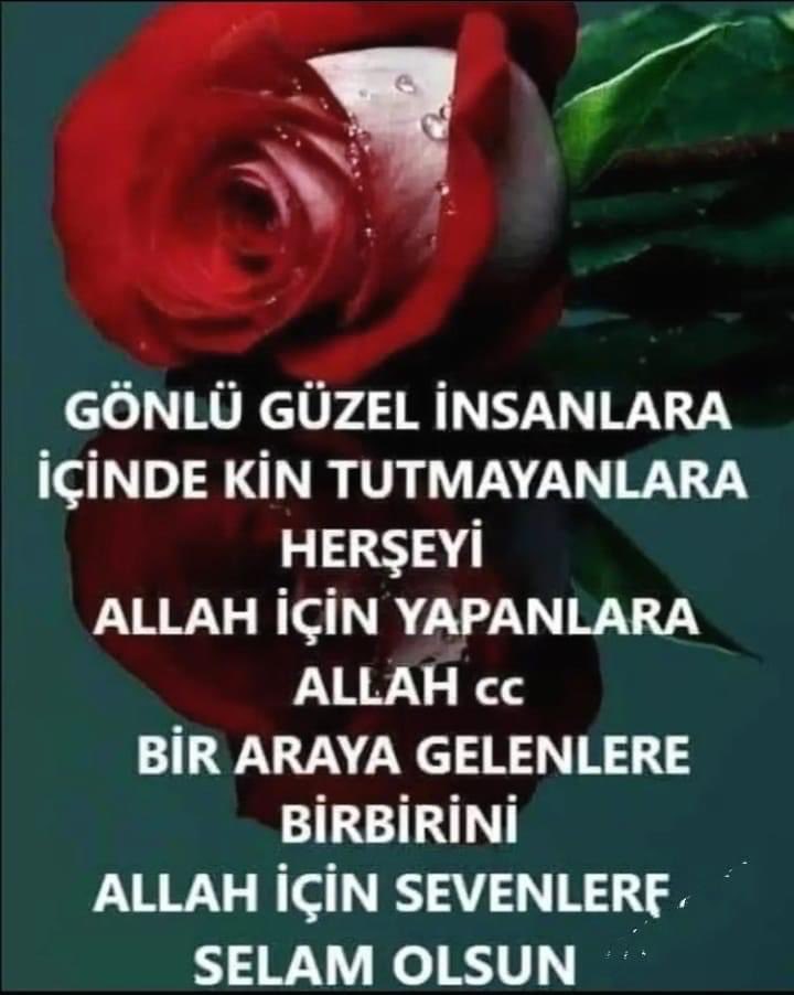 M.Hanifi Özer tweet media