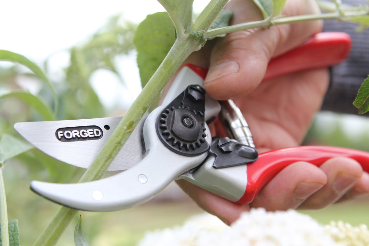 DarlacGardening's tweet image. Our Expert Drop Forged Pruner is one of the most robust pruners available. Not only is it a quality tool, but it’s been designed with technical excellence to help make gardening jobs as easy as possible.

darlac.com/product/dp1036…

#gardening #pruners #pruningtools #gardentool