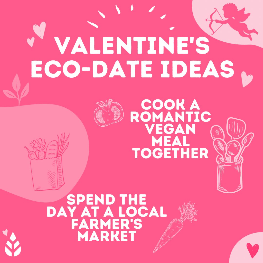 jungley_co's tweet photo. Valentine’s (or Galentines) Day is fast approaching!💞

So we’ve helped you out by coming up with some brilliant eco-friendly date ideas to suit your sustainable lifestyle!🌱

🌷Any other suggestions? ↓ https://t.co/WUtZN0aOjl