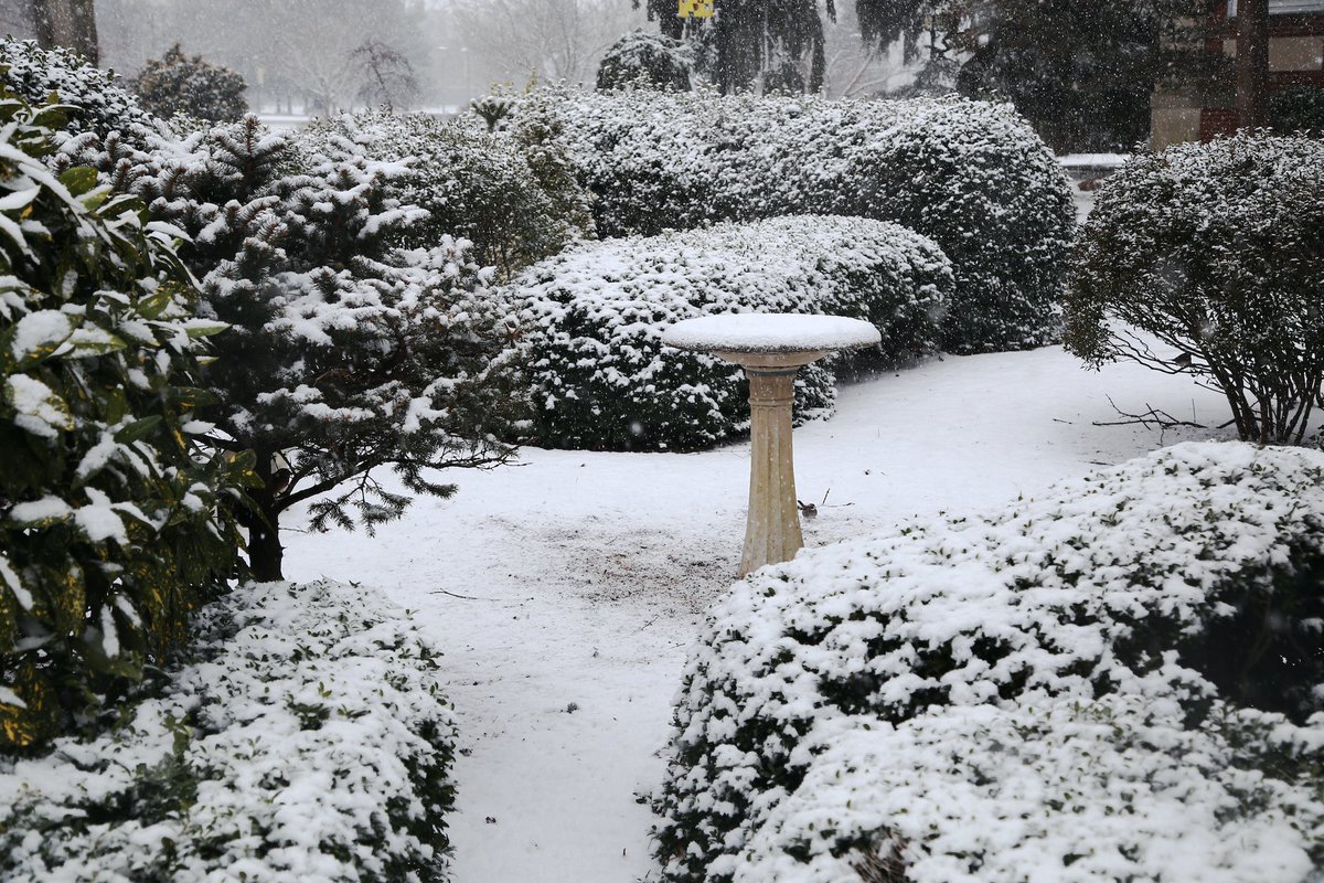 AdelphiU's tweet image. Comment down your favorite thing about #WinterAtAdelphi !❄️ #ReplyTweet