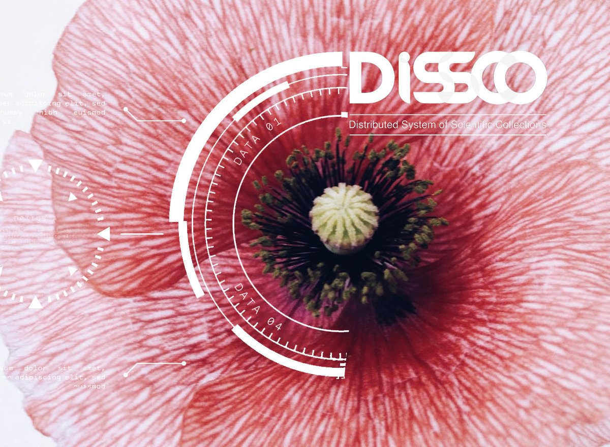DiSSCoEU's tweet photo. The #DigExtSpecimen concept has global consensus. Time to start testing with existing #collection management systems! We'll work with Specify Collections Consortium and @plutof_platform to demonstrate examples of an integrated approach. @DOI_Foundation @iDigBio @BioCollNetwork https://t.co/6F9IUIMg9g