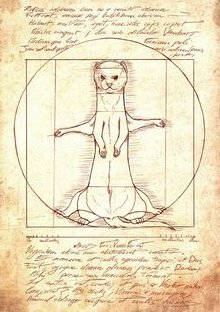 Remember where you came from dear mongoose...feel the vibes...let them shine through and engulf the others💖🔥 <a href="/mongoosecoineth/">Harriet Terna</a> #mongtothemoon $mong