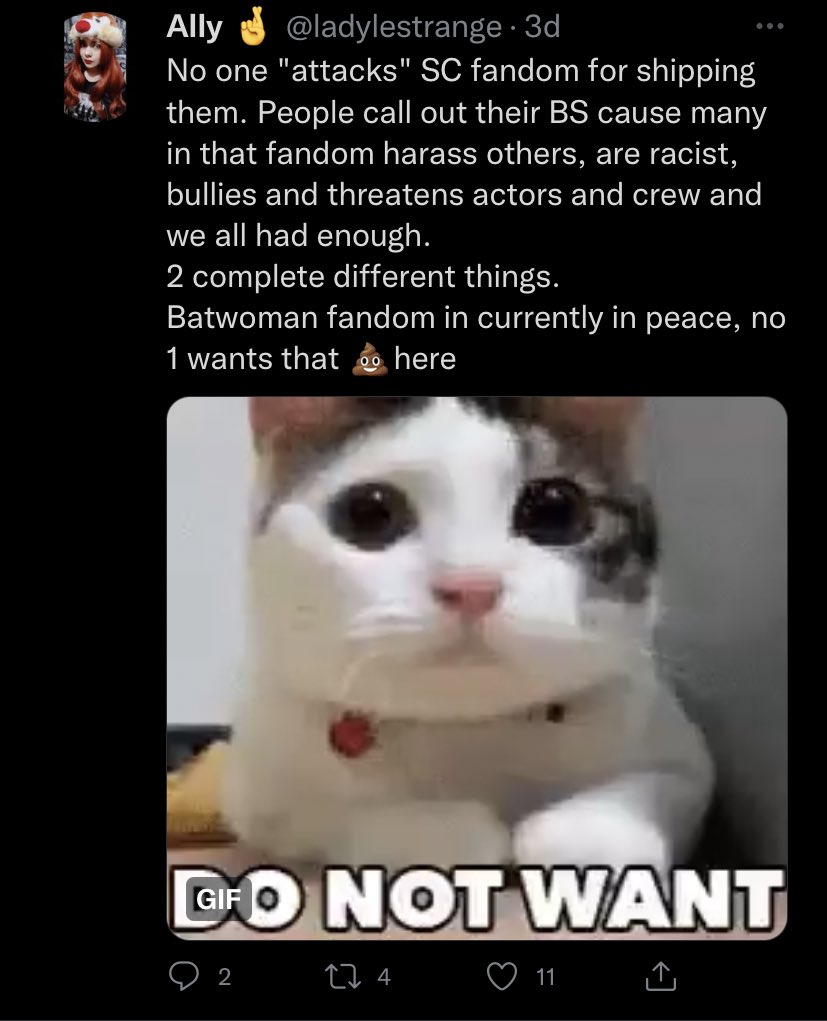 KramReceipts's tweet photo. Maybe you should worry more about the fact that you cosplay a nazi than the fact that large lgbt fandoms exist in the arrowverse https://t.co/JJbAKATWK5