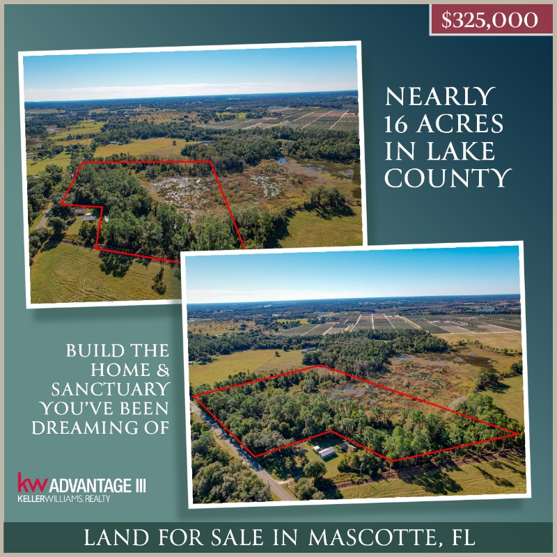 CareyLight's tweet photo. 🚨 $25,000 Price DROP 🔻 on this 16 Acres Lot in Lake County!

📍 Mascotte, FL
🌳 15.91 Acres
🔸 MLS #: O5984222
💰 List Price: $325,000
📲  (321) 297-4330