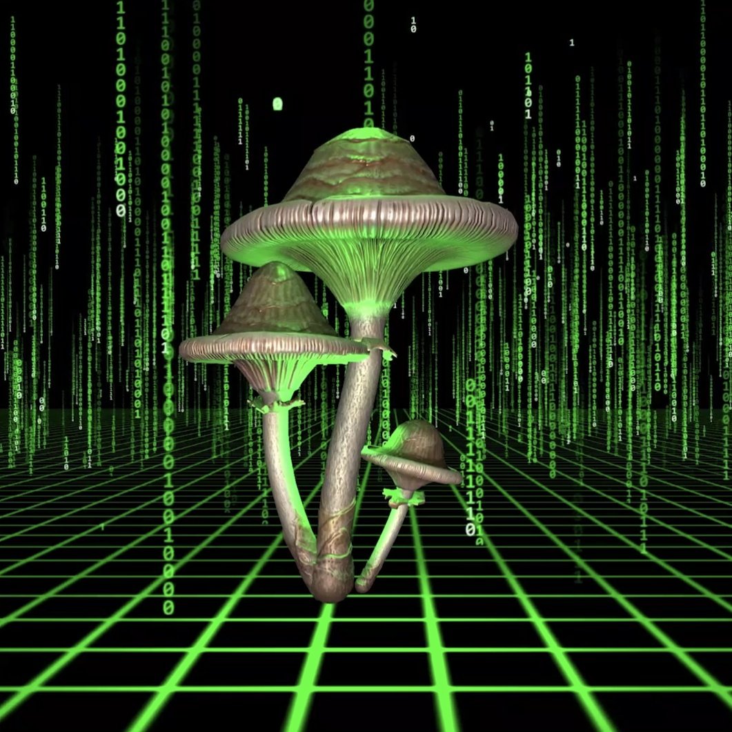 CyberMushr01m's tweet photo. #NewProfilePic https://t.co/SZzAAXOwkV