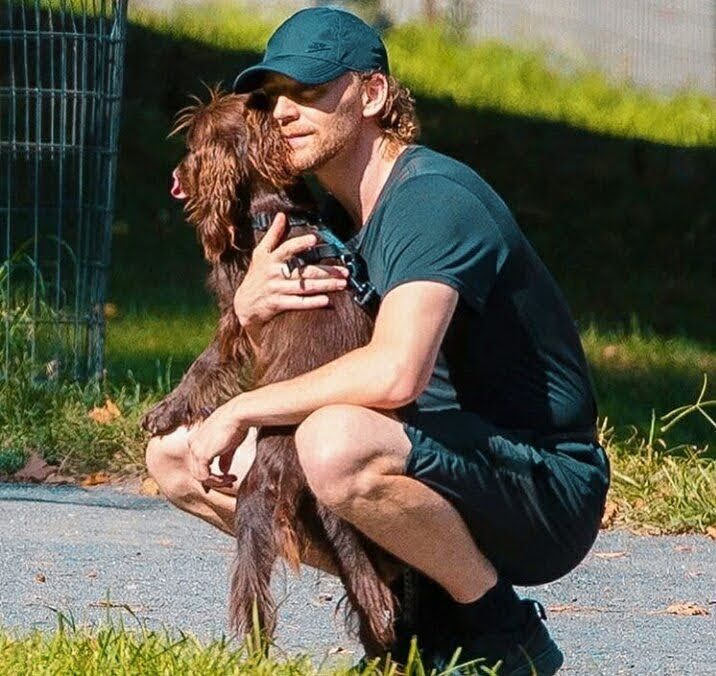 MarvelEnGeneral's tweet photo. Tom Hiddleston en tres palabras: lo mejor que me pasó en la vida después de ser mamá. Ay, me pasé de palabras. Perdon.
Nuestro gran Tom cumple 41 años hoy 💚✨🎉
Te amamos mucho❣️ #HappyBirthdayTomHiddleston https://t.co/HNcHX60zqa