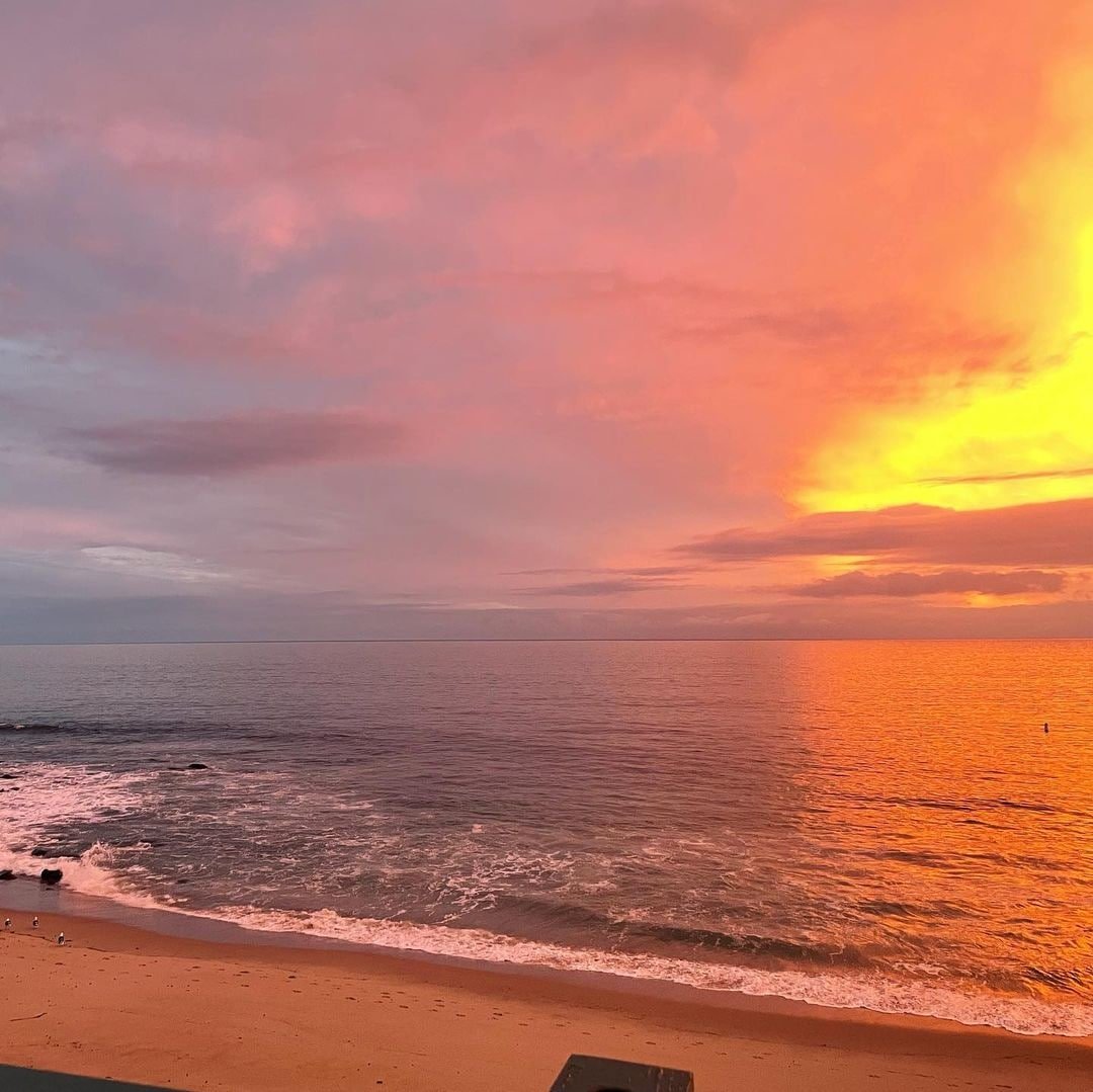 bendmusic's tweet photo. I'm selling sunsets, and you shed light on me as generously as a god, and the world is lit up from now on. https://t.co/f1hgak86fF