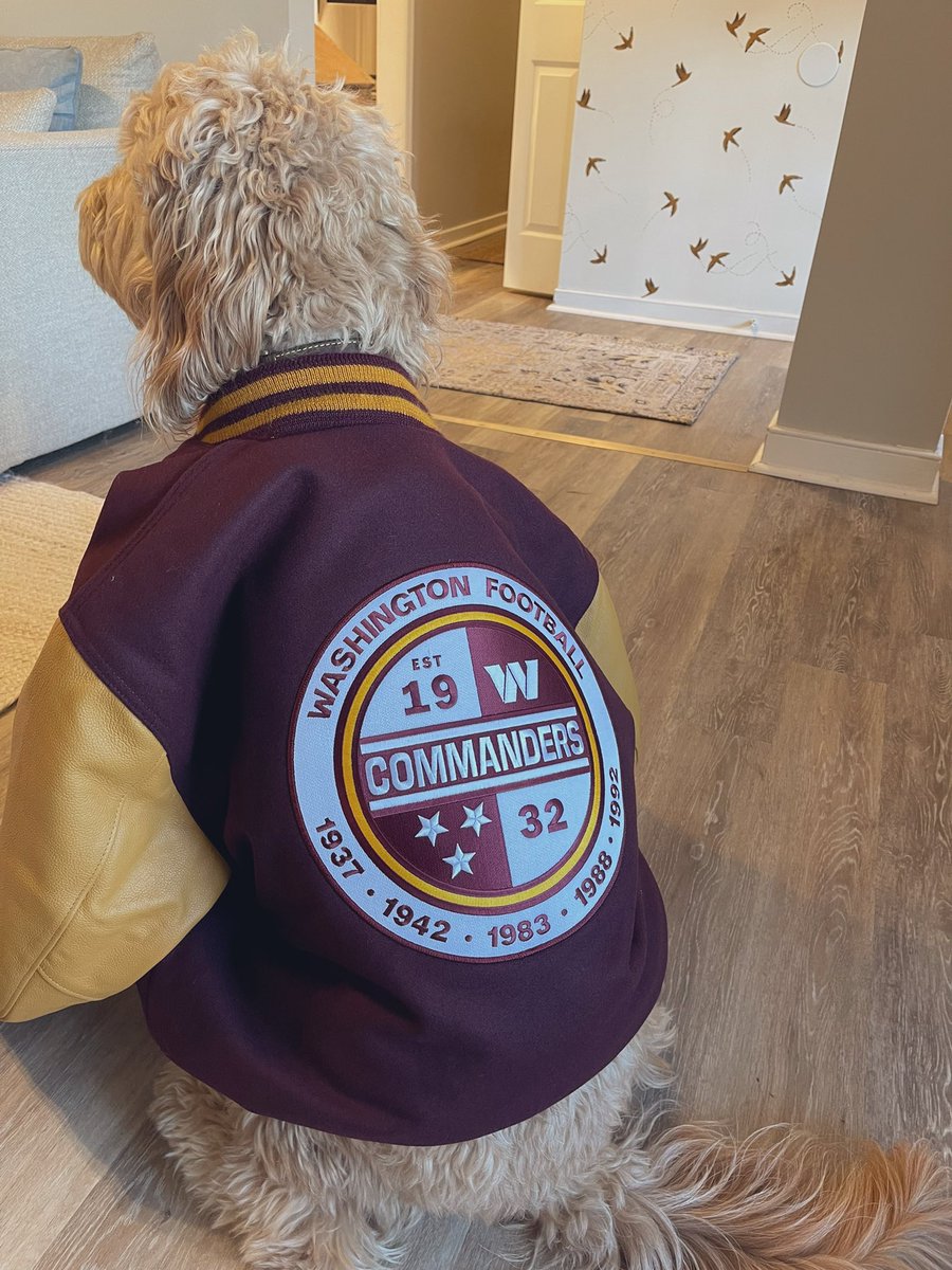 hgtooch's tweet photo. Anyone know a more diehard dog?! @Commanders @PBiased_ #TakeCommand https://t.co/etrRMk9pDF