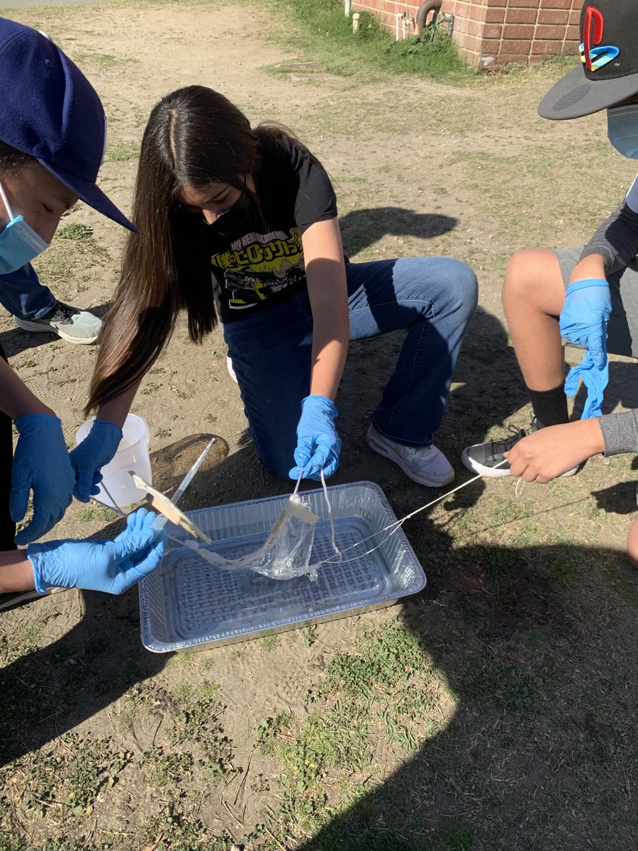 ErhsPltw's tweet photo. PLTW Engineering: Today the first year class did a simulation on containing an oil spill and then trying to clean it up. It is pretty difficult to fight oil given that your main supplies are just popsicle sticks. This year we had 2 out of 10 groups save the ocean! @ElRanchoHS https://t.co/vPMkA2Zj4Y