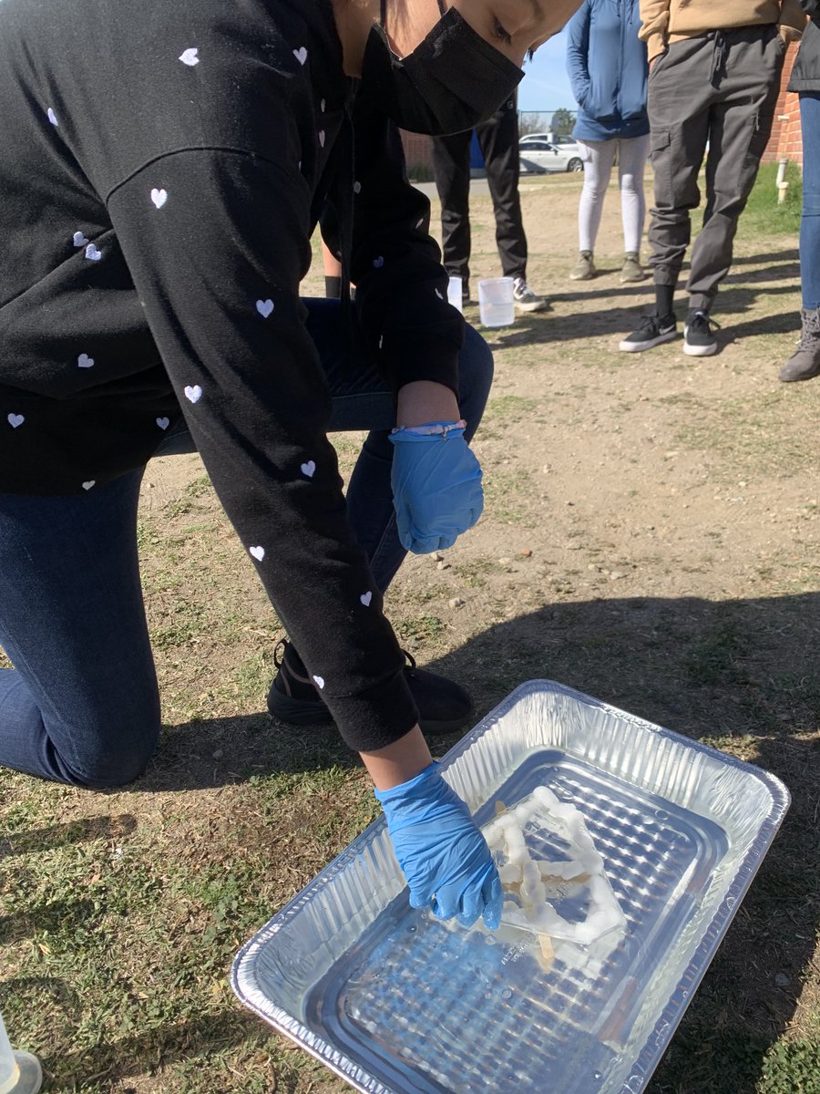 ErhsPltw's tweet photo. PLTW Engineering: Today the first year class did a simulation on containing an oil spill and then trying to clean it up. It is pretty difficult to fight oil given that your main supplies are just popsicle sticks. This year we had 2 out of 10 groups save the ocean! @ElRanchoHS https://t.co/vPMkA2Zj4Y