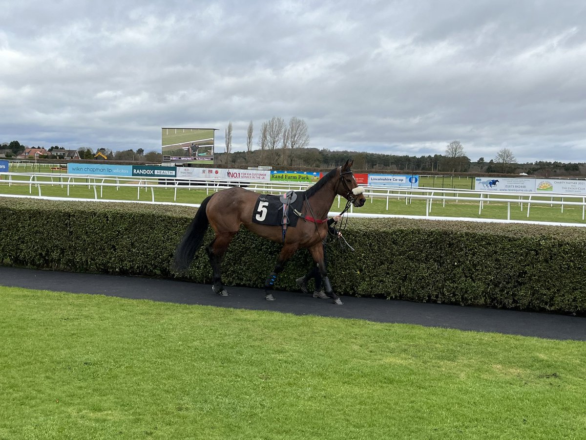 Delighted to say Daphne was sound as a pound after her fall at Market Rasen Racecourse! So close to a 1st winner for <a href="/C_LidsterRacing/">Craig Lidster Racing</a> 🦄
(God help whoever lumped her from 8/1 into 2/1 favourite 🤣😱) #idiots