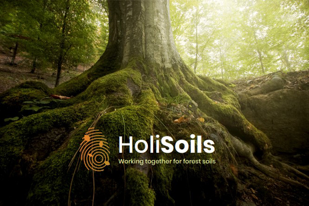 We offer a postdoc position located in Prague, Czech Republic to study the effects of disturbances on forest soil biodiversity and ecosystem functions. mbucas.cz/wp-content/upl… The candidate will benefit from the pan-European collaboration within the H2020 consortium <a href="/holisoils/">HoliSoils Project 🇪🇺</a>.