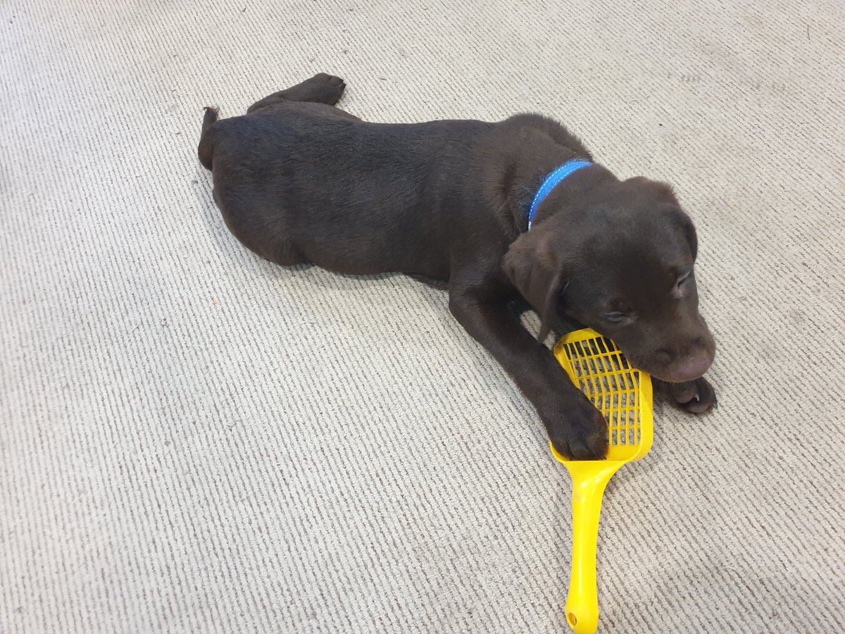 I am ILM tweet media