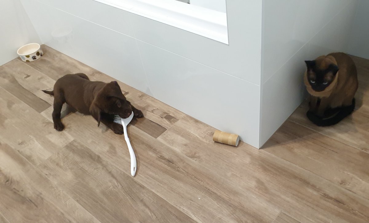 I am ILM tweet media