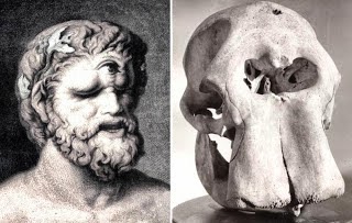 the Ancient Greeks didn't understand extinction... instead they probably thought the fossils of a Deinotherium giganteum were a cyclops skeleton! #6thextinction #ees028 nationalgeographic.com/science/articl…