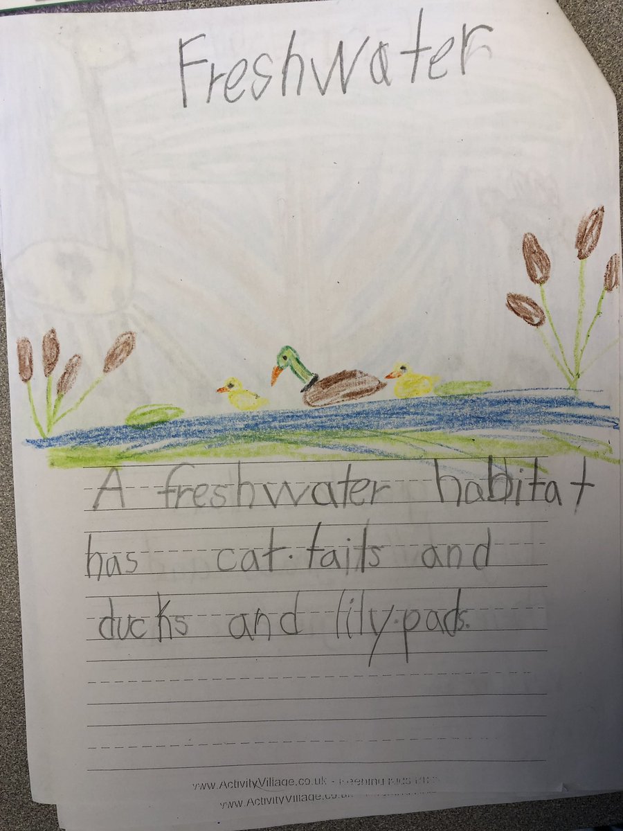 BoshersBlake's tweet photo. I just wanted to share what we have been working on in CKLA… HABITATS. They are loving learning about habitats, and have been showing what they’ve learned in their Habitat Journals each day. @OGEStigercubs #ProudTeacher https://t.co/pqj9Mdm2kq