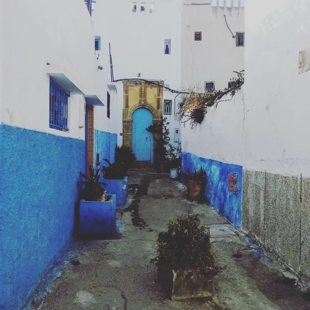 ¿Sabíais que Rabat tiene un barrio azul? 💙
Pues así es!!. Lo encontraréis dentro de la Kasbah de los Udayas, preciosa fortaleza amurallada con vistas al mar 🌊
Uno de los sitios más bonitos de Rabat!! 😊
#Marruecos #rabat #kasbahdesoudayas #barrioazul #fortalezamedieval