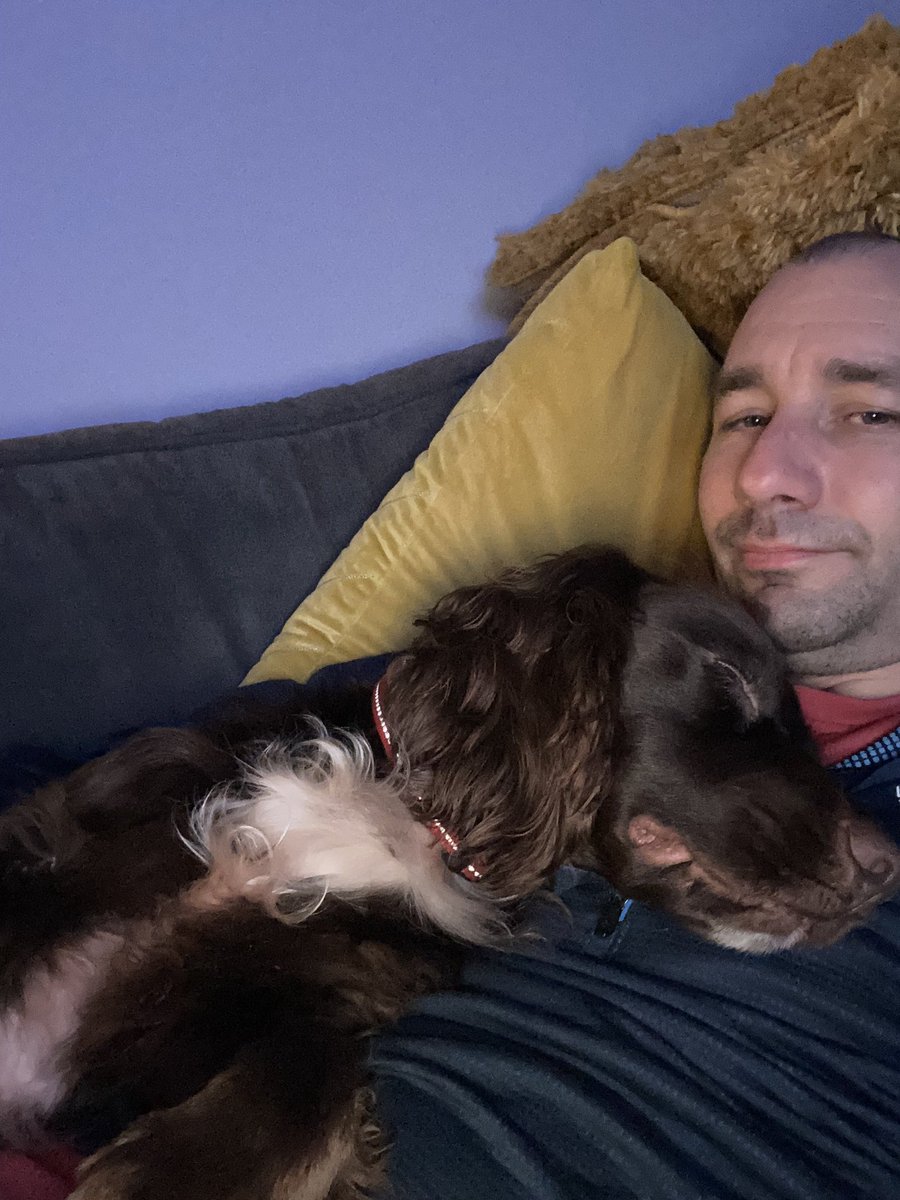 jockwhalen's tweet photo. This boy knows when the adults have had a ruff day, never leaves your side #cleverspaniel #DogsofTwittter https://t.co/2JNSVzOiny